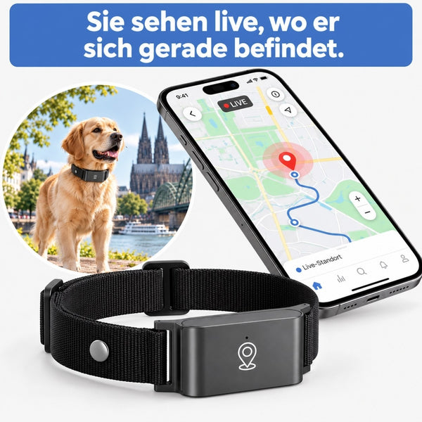 Siehst live, wo er gerade ist