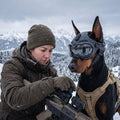 Wolfsgarde - Schutzhelm für Jagdhunde
