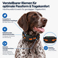 Fernlenker - Ferntrainer-Halsband für Hunde