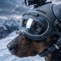 Wolfsgarde - Schutzhelm für Jagdhunde