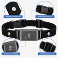 Pfotenwacht - GPS-Tracker-Halsband für Hunde