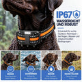 Fernlenker - Ferntrainer-Halsband für Hunde
