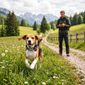 Pfotenwacht - GPS-Tracker-Halsband für Hunde