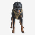 Wolfsgarde - Schutzhelm für Jagdhunde