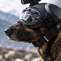 Wolfsgarde - Schutzhelm für Jagdhunde