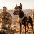 Wolfsgarde - Schutzhelm für Jagdhunde