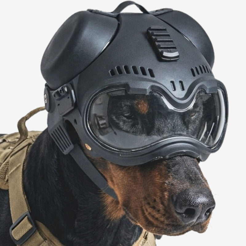 Wolfsgarde - Schutzhelm für Jagdhunde