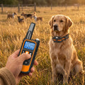 Fernlenker - Ferntrainer-Halsband für Hunde