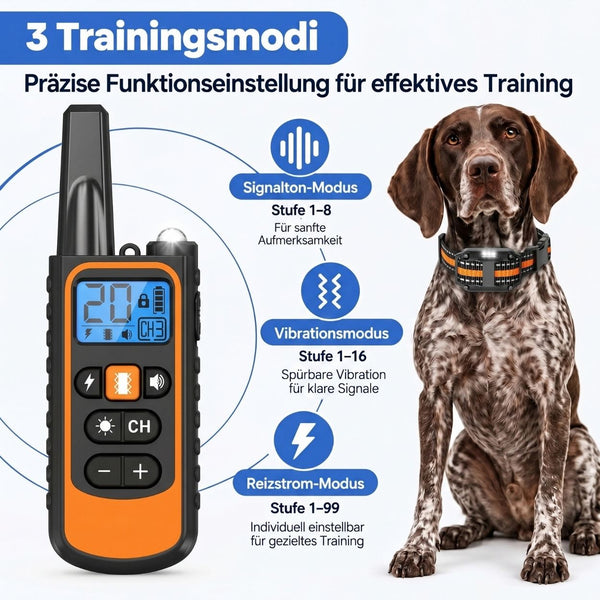 Fernlenker - Ferntrainer-Halsband für Hunde