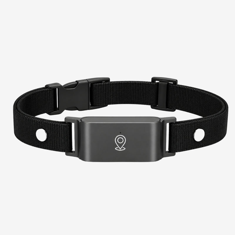 Pfotenwacht - GPS-Tracker-Halsband für Hunde