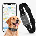 Pfotenwacht - GPS-Tracker-Halsband für Hunde