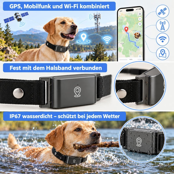 Pfotenwacht - GPS-Tracker-Halsband für Hunde