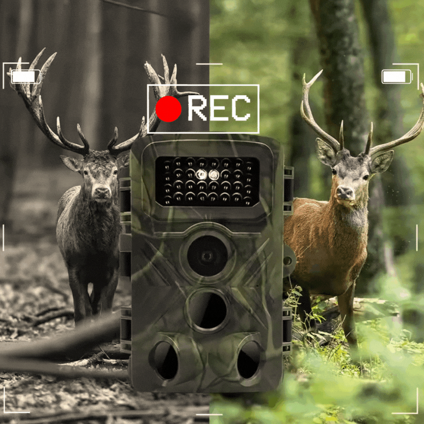 WAIDBLICK 32 IR – Präzisions-Wildkamera mit unsichtbarem IR-Licht