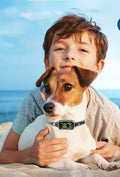 Junge kuschelt mit kleinem Hund, der das Ruhepuls Antibell-Halsband trägt, am Strand