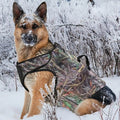 Schäferhund im Schnee mit der Neopren-Hundeweste Frostfell