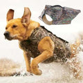 Hund läuft durchs Wasser mit der Neopren-Hundeweste Frostfell