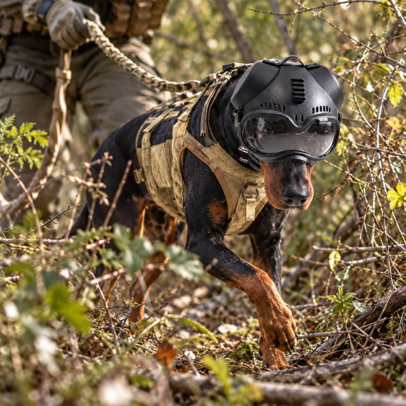 Wolfsgarde - Schutzhelm für Jagdhunde
