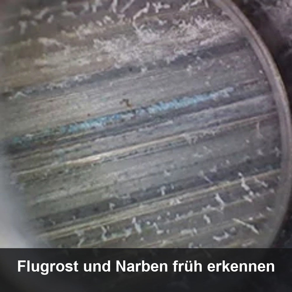 Laufblick erkennt Flugrost und Narben im Lauf frueh
