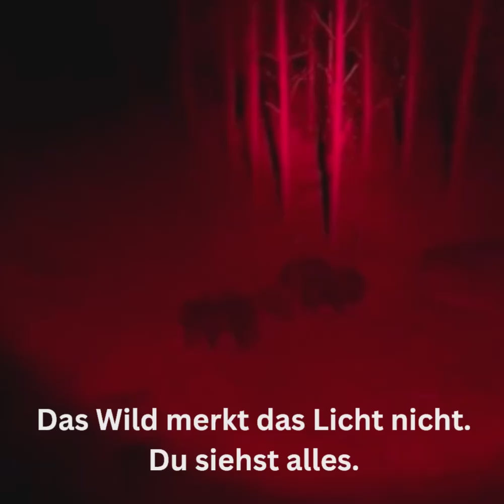 Rotglut – Dybrød Pürschlampe