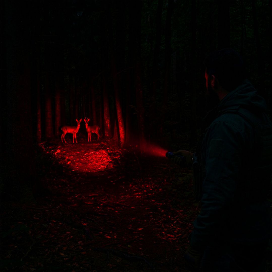 LP-V2:: Rotglut Why 3