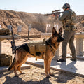 Feldharnisch Hundegeschirr, Schäferhund neben Schütze mit Gewehr auf Wüstenschießstand