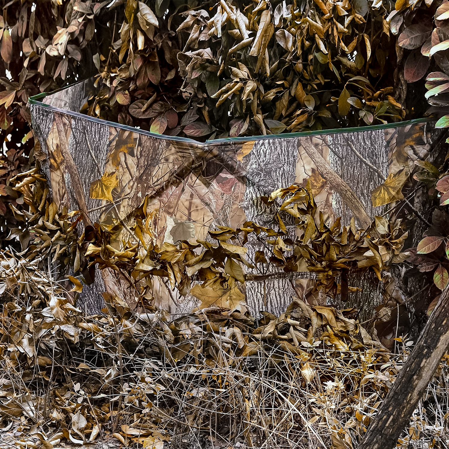 Jagdblind Tarnzelt in Laub-Optik, aufgestellt und fast vollständig im Blattwerk verdeckt
