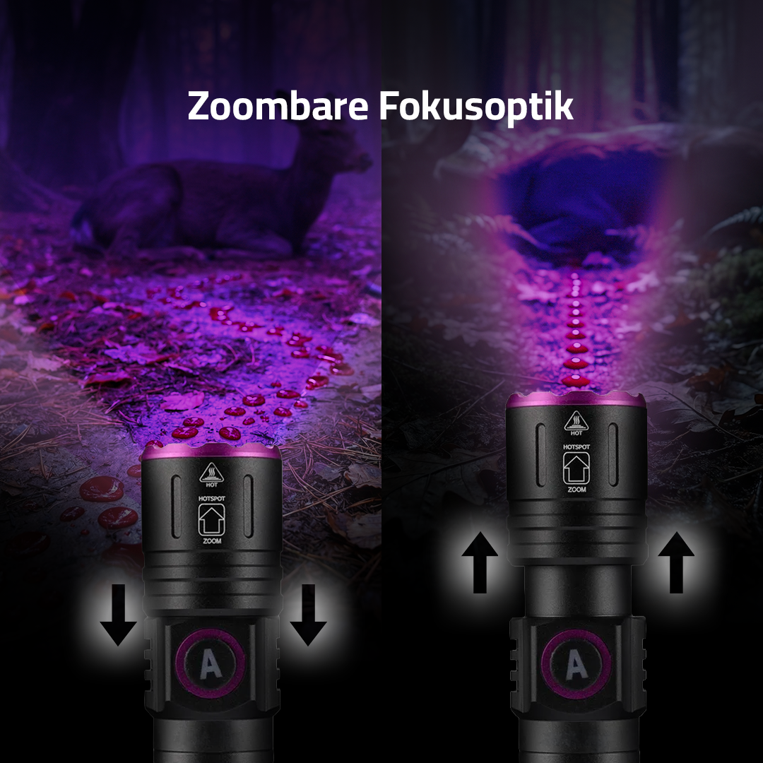 Blutspur Pro UV-Taschenlampe, Vergleich zwischen breitem Flutlicht und fokussiertem Zoomstrahl auf dunklem Waldboden