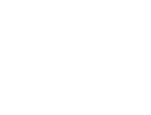 Compression Icon